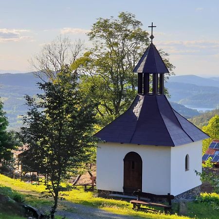 Hotel Koenig-In Hojsova Stráž Zewnętrze zdjęcie